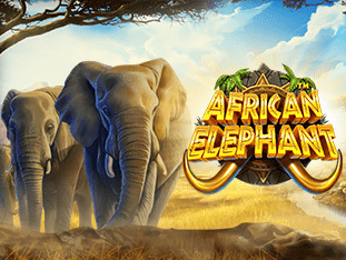 African Elephant screenshot